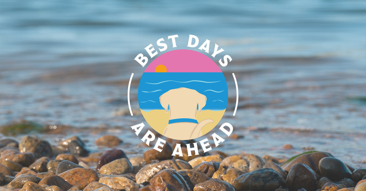 Your Best Days Are Here — Ambrose Avenue Popsigns main image 1